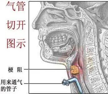 b15a13458bf34aeb55cc9a592f553a63