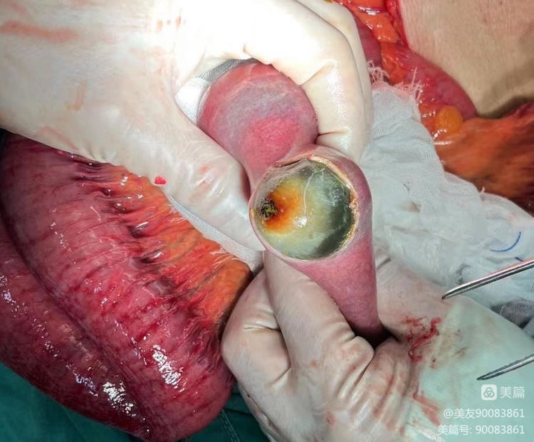 3de0aff3-3508-4ae1-aa49-541fc9d1cf38