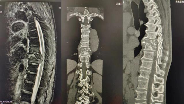 微信图片_20230902143704