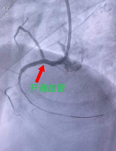 02d0b8b019df65d6bc28d1c966d4ae7