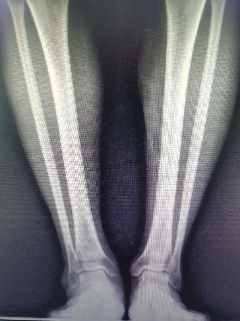 微信图片_20240603232827