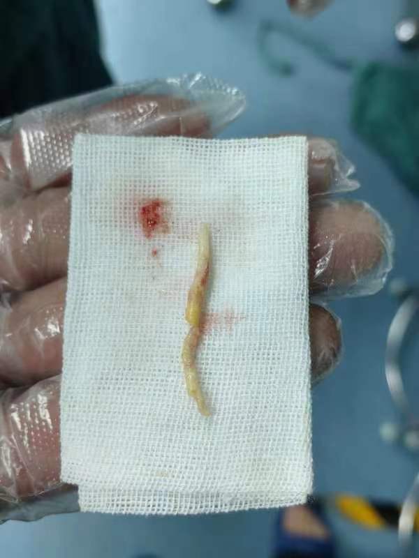 9488539ad0372caa137ee5af1c053b8