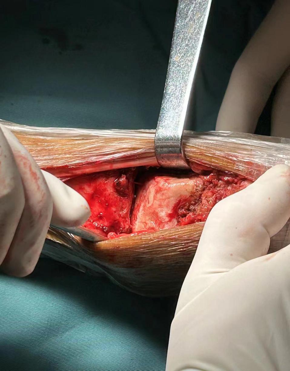 微信图片_202406032109413