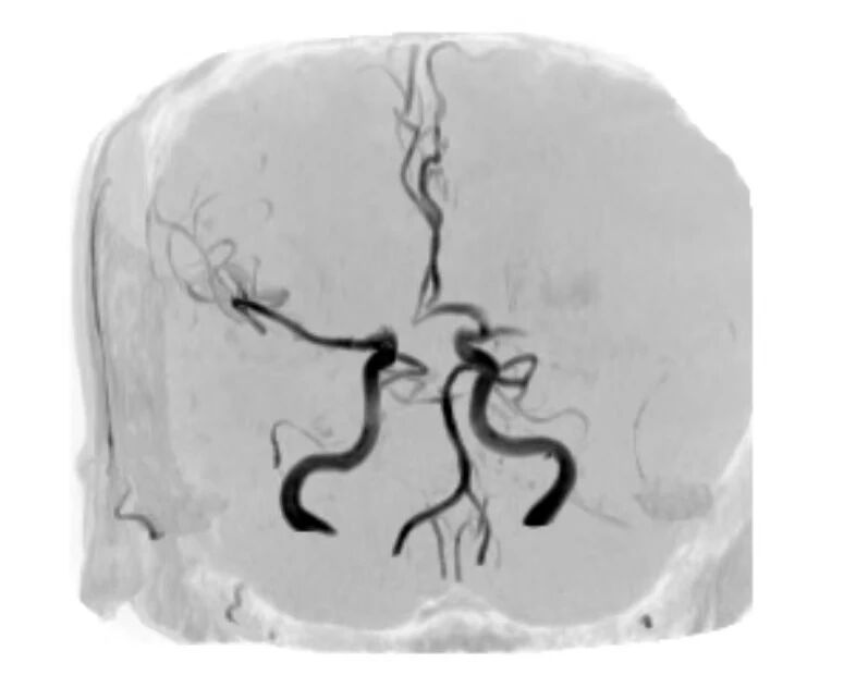 微信图片_2026-02-27_102649_655.jpg 微信图片_2026-02-27_102649_655.jpg