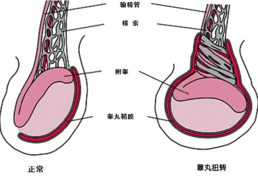 微信图片_2026-02-27_105231_075.png 微信图片_2026-02-27_105231_075.png