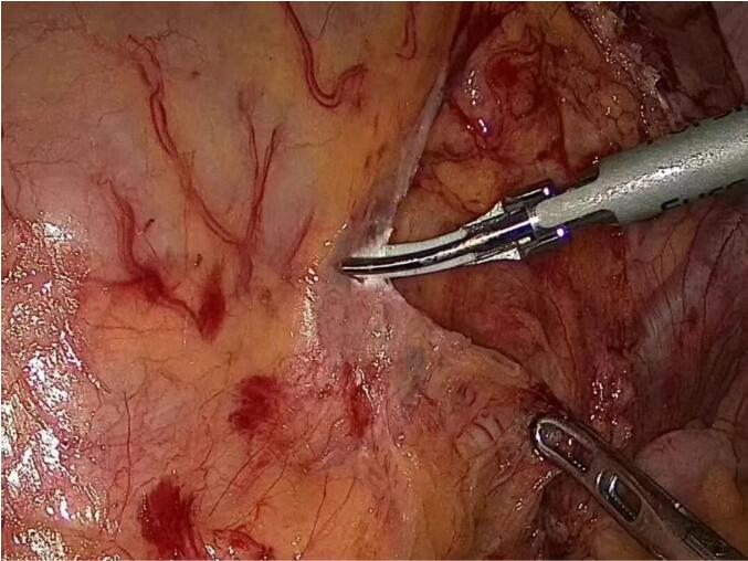 QQ截图20260209085747.jpg QQ截图20260209085747.jpg