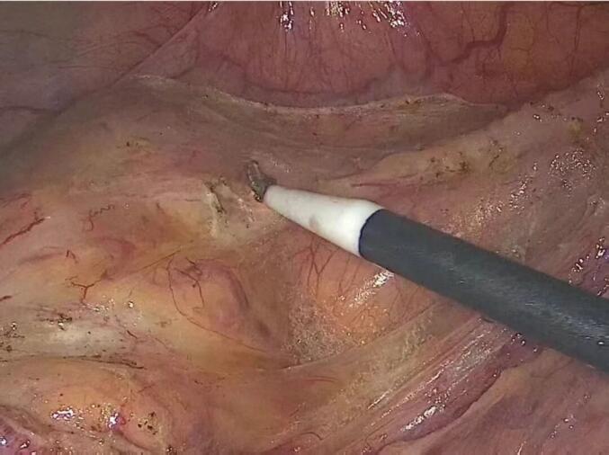 QQ截图20260209085756.jpg QQ截图20260209085756.jpg