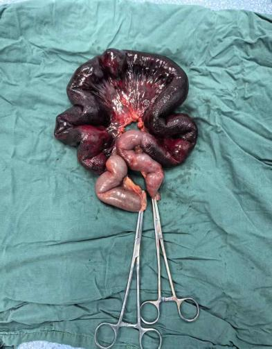 微信图片_2026-03-09_092300_474.png 微信图片_2026-03-09_092300_474.png