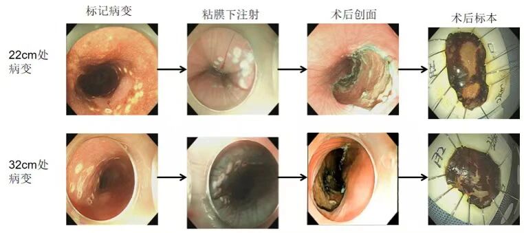 微信图片_2026-05-06_083203_469.jpg 微信图片_2026-05-06_083203_469.jpg
